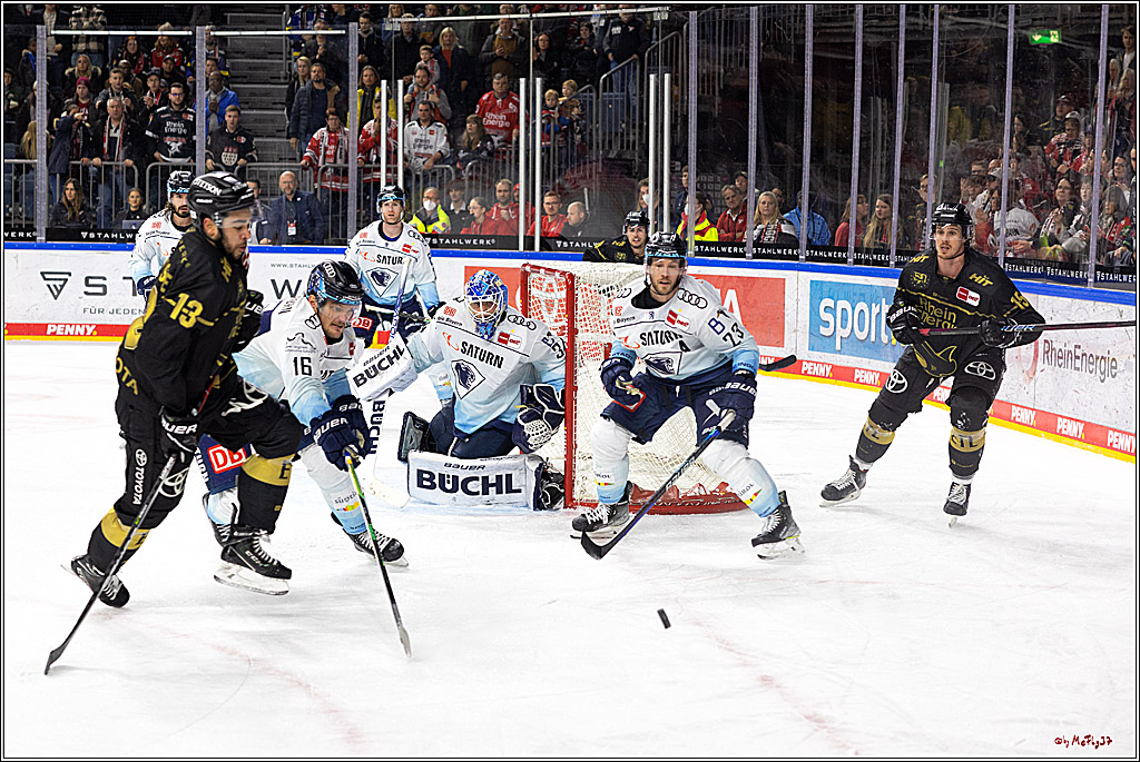 PENNY DEL;  Kölner Haie - ERC Ingolstadt; Köln, 25.11.2022